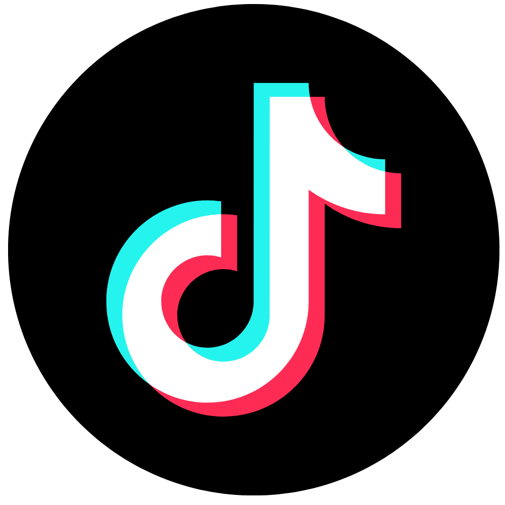 TikTok Icon