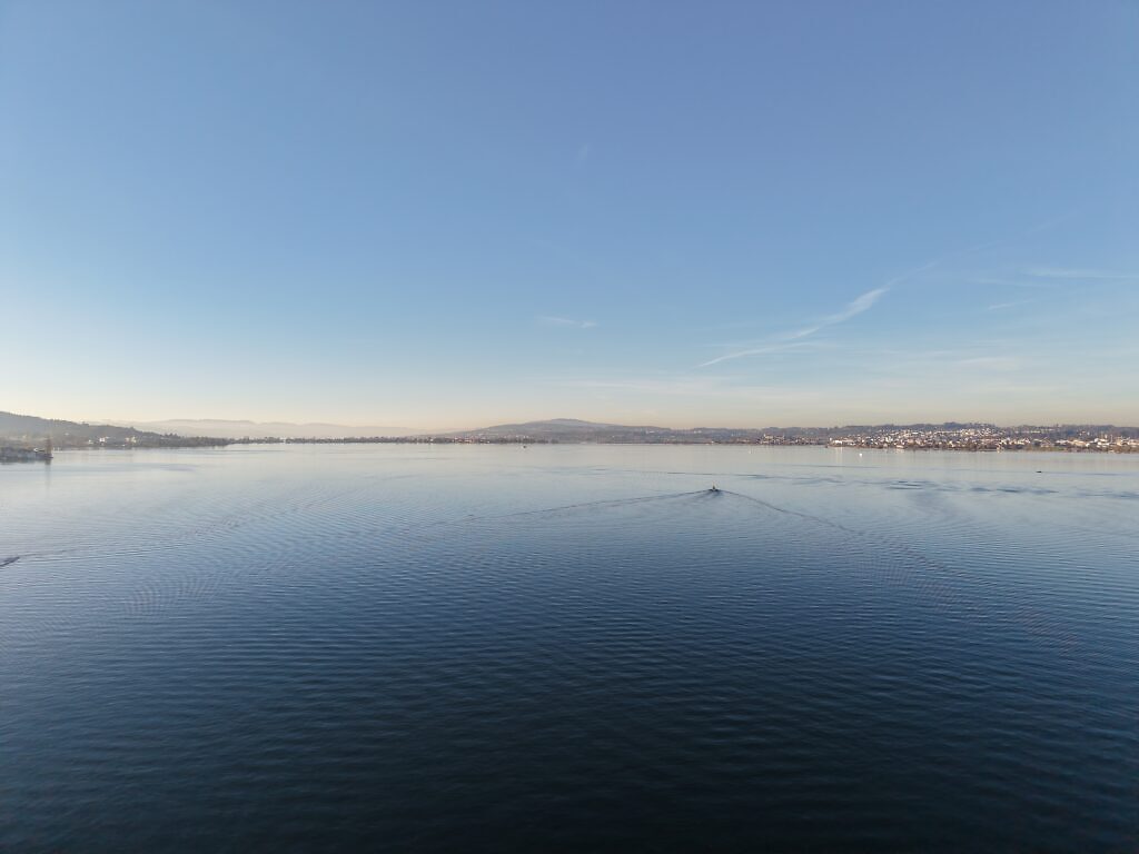 Umfassender Service für Immobilieneigentümer, die ihre Immobilie verkaufen möchten: professioneller Immobilienverkauf, Hausverkauf und Wohnungsverkauf mit fundierter Immobilienbewertung und Marktwerteinschätzung, Verkaufsberatung für private Eigentümer von Einfamilienhäusern, Eigentumswohnungen, Mehrfamilienhäusern und Renditeobjekten, Unterstützung durch erfahrene Immobilienmakler beim Liegenschaftsverkauf – von der Wertermittlung und Vorbereitung des Exposés über die Vermarktung und Organisation von Besichtigungen bis zur Auswahl der Kaufinteressenten, Verhandlung des Kaufpreises und sicheren Abwicklung des Immobilienverkaufs beim Notar.